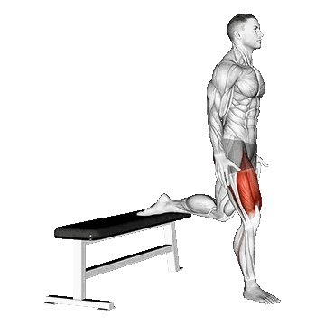 Bulgarian Split Squat